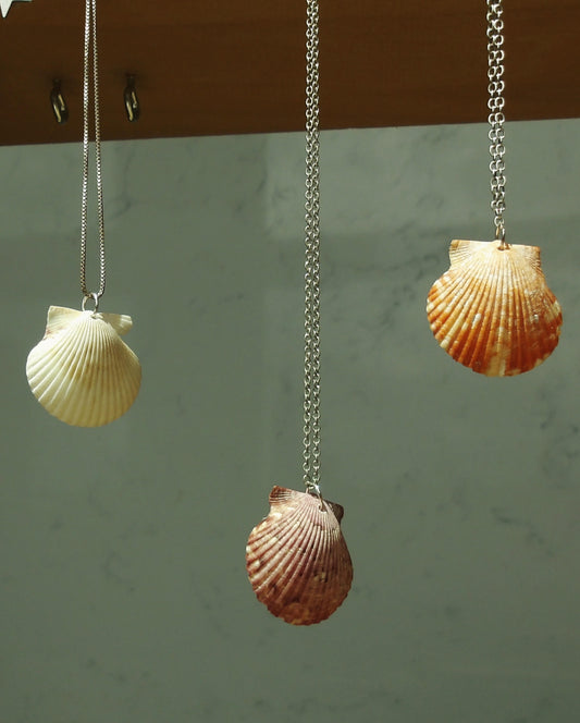 raw shells necklace mermaid necklace sterling silver